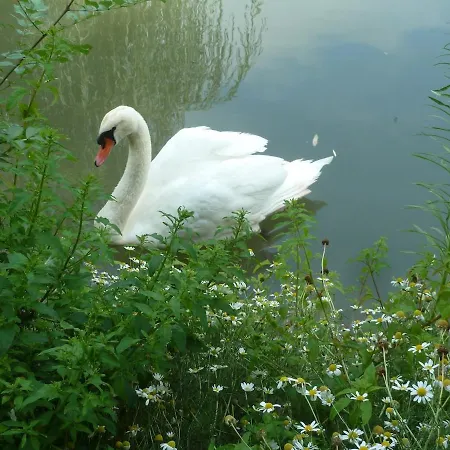 Wooden Chalet, For 4 People Air-conditioned Domek alpejski *