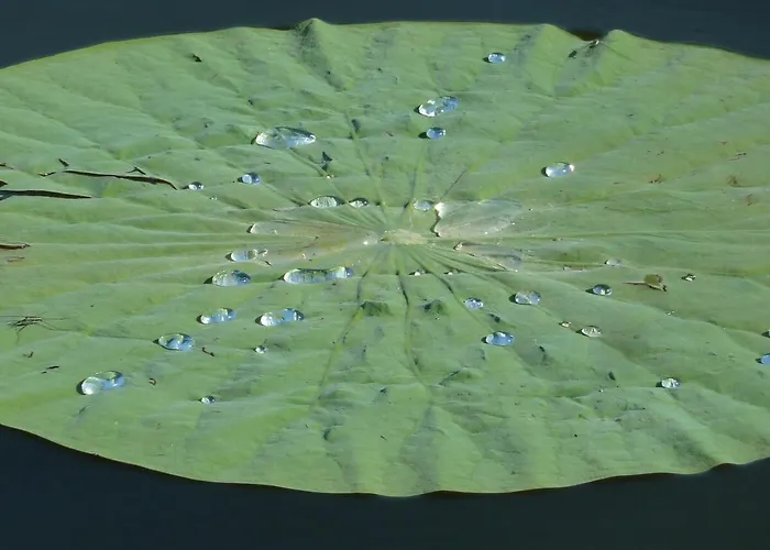 Wooden Chalet, For 4 People Air-conditioned Alpstuga *