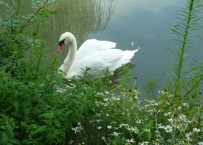 Wooden Chalet, For 4 People Air-conditioned Alpstuga *